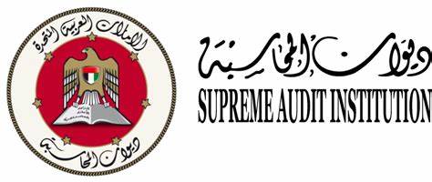 Supreme audit institution