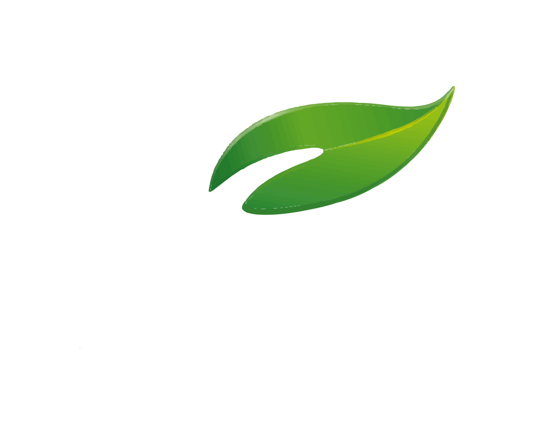 Powering Nova’s e-commerce with smart automation & real-time insights